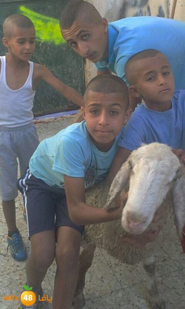 dabe7 ludj31 (55).jpg